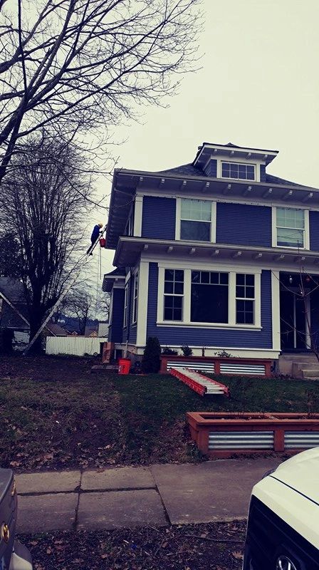 Worker on an extension ladder beside a two-story house.