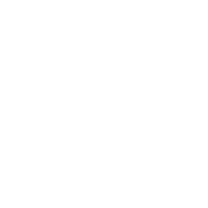 The Sidney Holmes Foundation