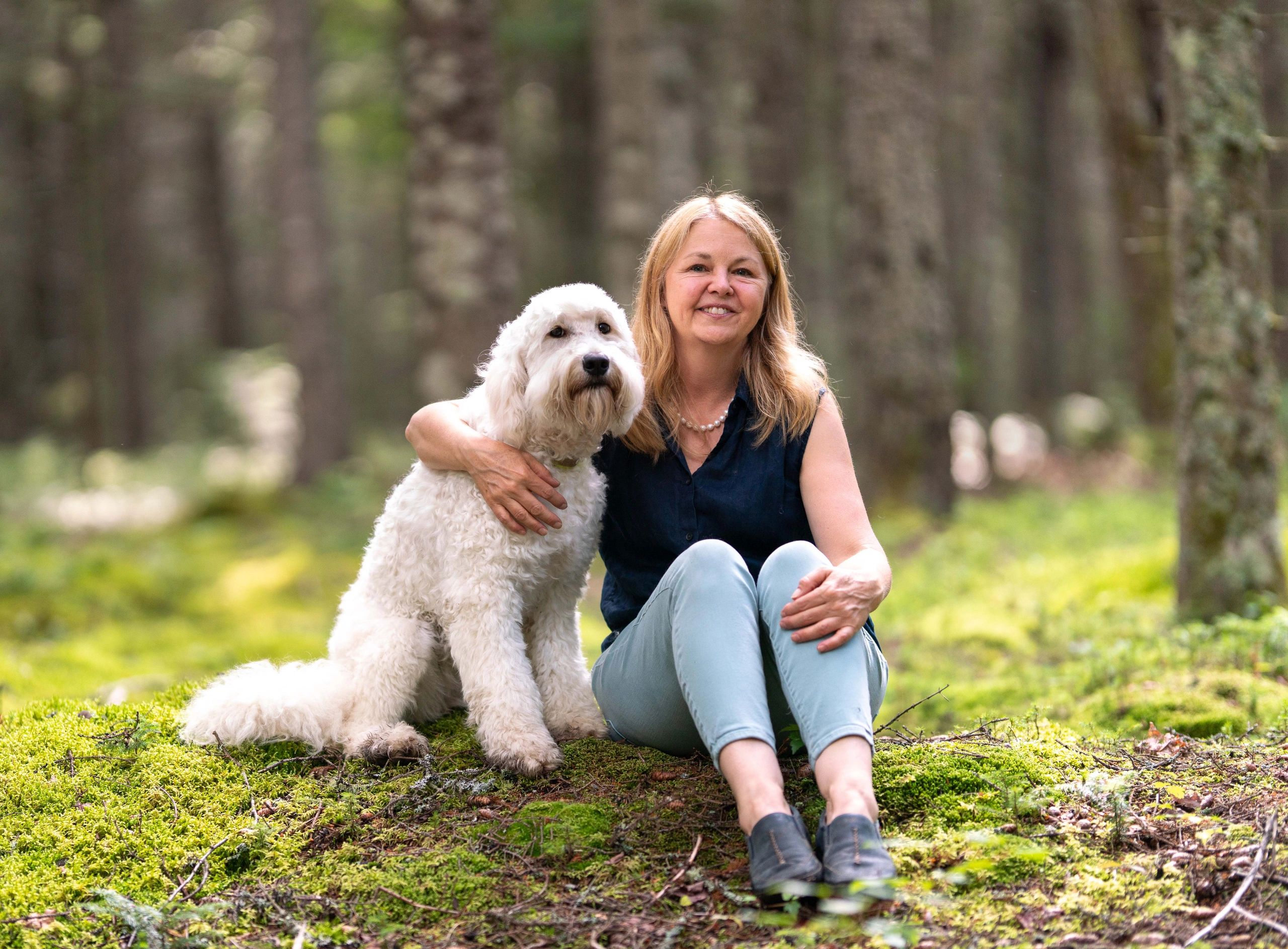 acadiagoldendoodles.com