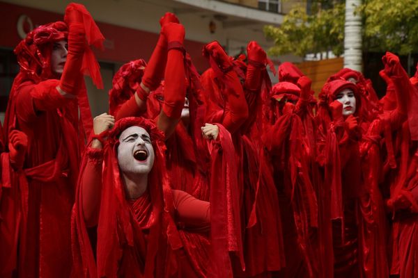 Extinction Rebellion, Portrait, Visual Activism