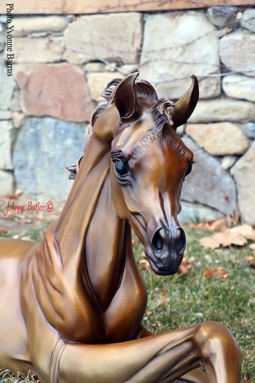 Hope life size Foal Bronze Sculpture