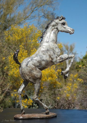 Dainty Dancer bronze foal