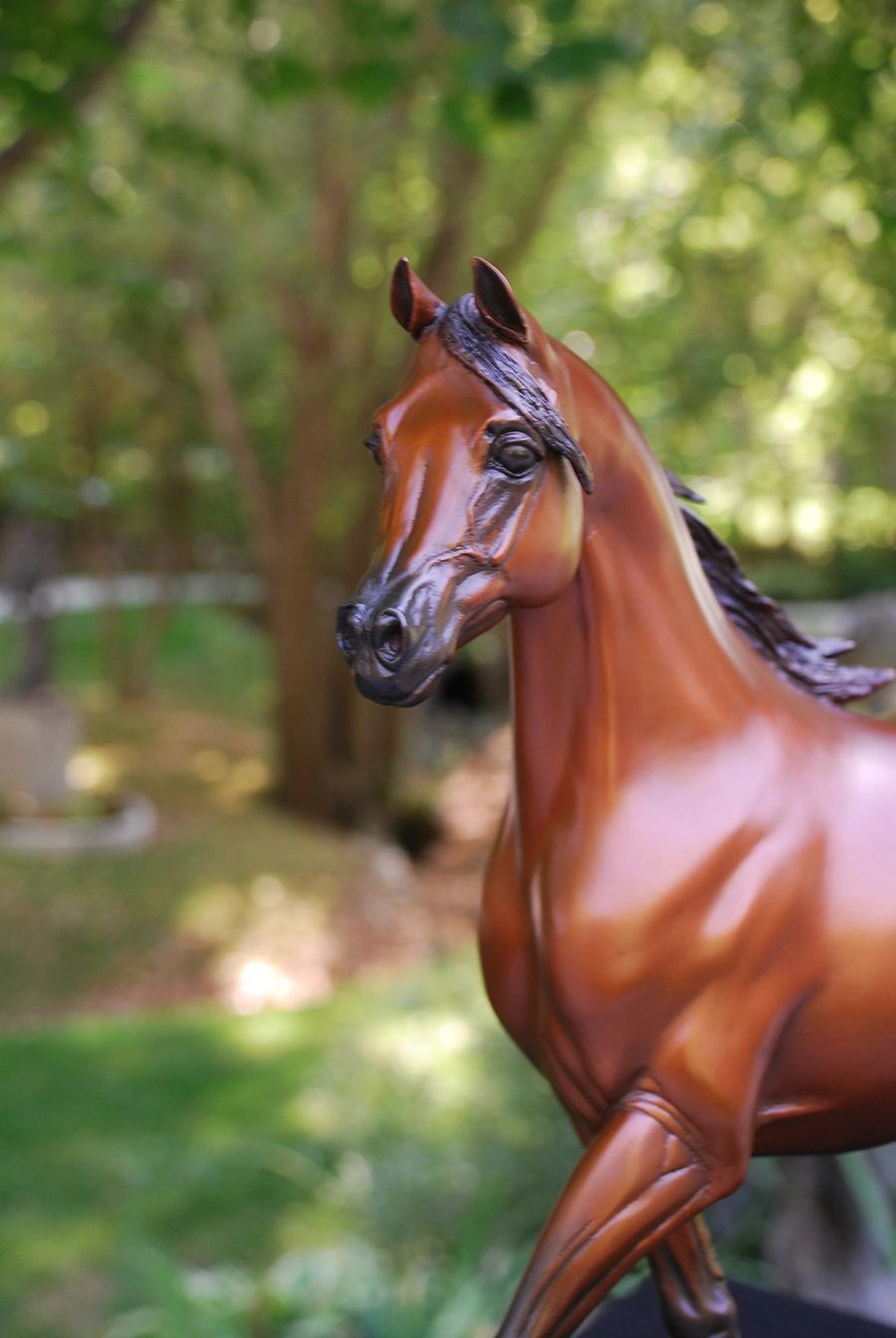 Arabian Stallion bronze sculpture by J. Anne Butler