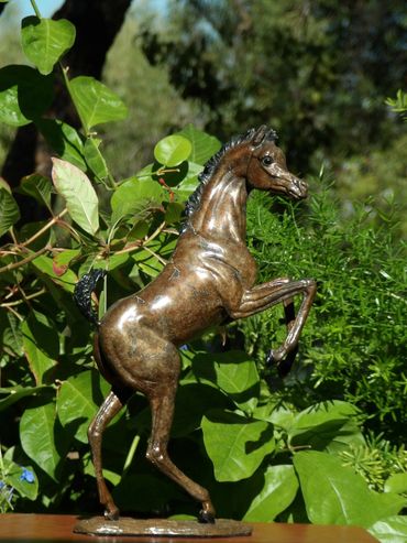 Bronze foal