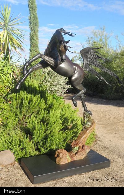 Freedom lifesize equine bronze sculpture.  #bronzesbyjannebutler