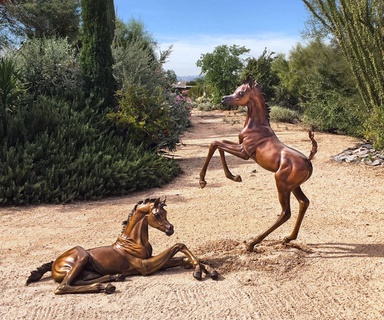 
  Arabian Horse / Equine
 Bronze Sculptures 
by J. Anne Butler 