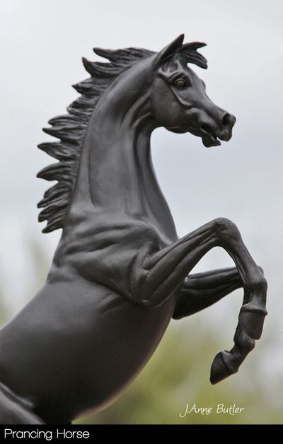 Prancing Horse Bronze Sculpture by bronze sculptor, J. Anne Butler