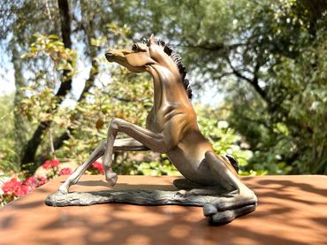 Bronze Foal Sculptures