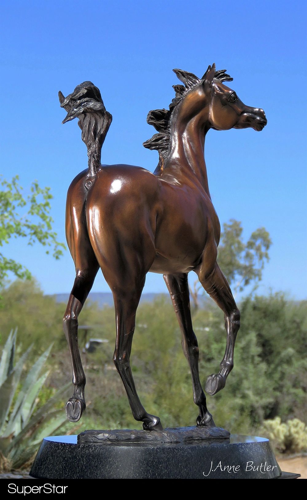 Equestrian Bronze Sculpture Arabian Horse Bronze Sculptures