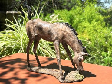 Bronze foal