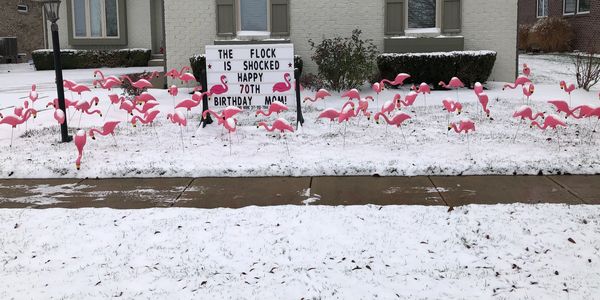 Flock the Yard with Pink Flamingo Yard Signs in Indianapolis, Greenwood, Whiteland, New Palestine