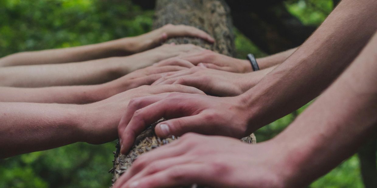 Multiple hands touching a tree trunk in unison.