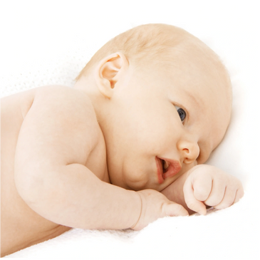Nicholla Hughes Chiropractor
Chiro - Chiropractic - Petrie - Brisbane North - Lawton - Warner