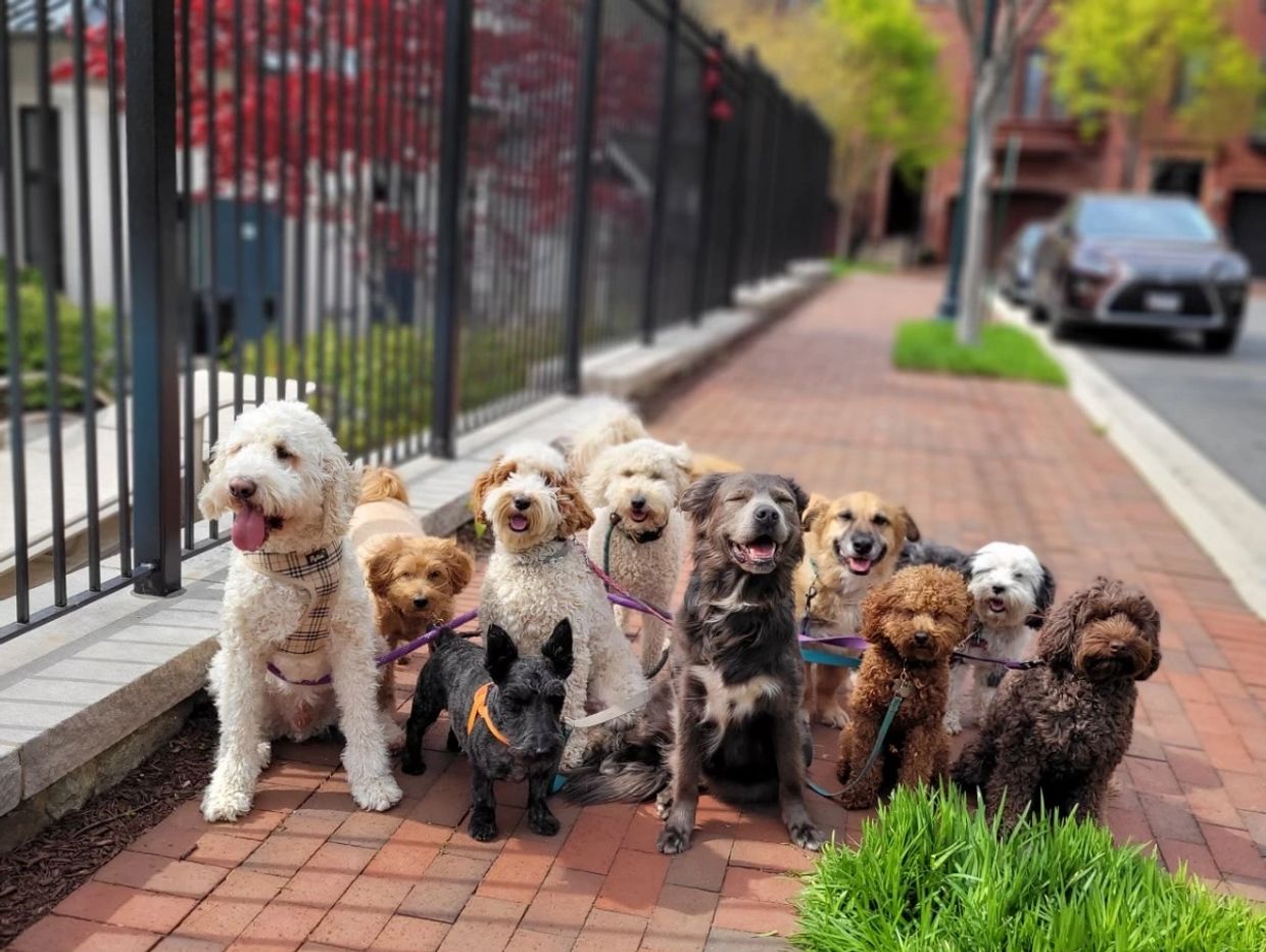 Packwalk at Park Potomac