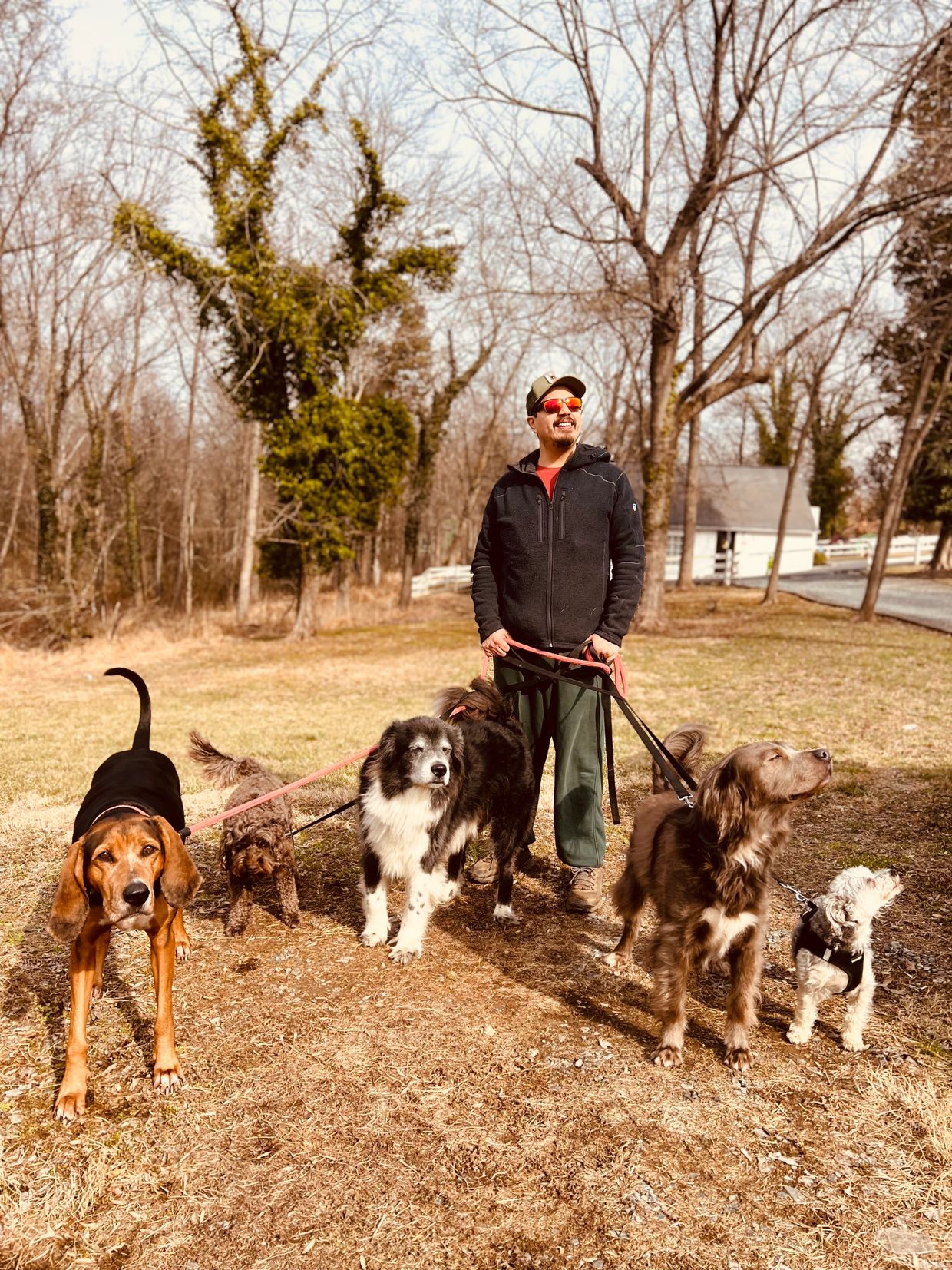 Furbabies of Bethesda Doggy Daycare, Boarding, Pet Services