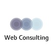Web Consulting 