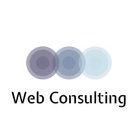 Web Consulting 