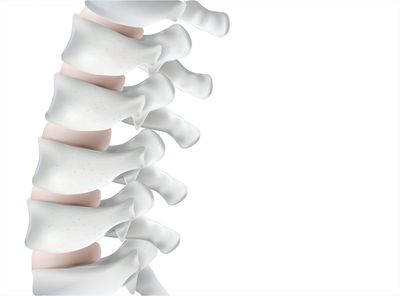 Osteoporosis is a disease that causes bones to thin and weaken thus becoming more susceptible to fra