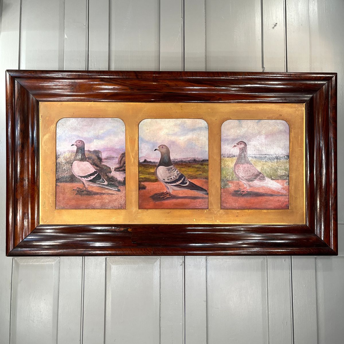 Large antique oil painting trio triptych of racing pigeons circa 1913