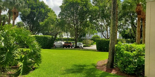 Green grass overlooking parking lot