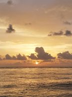 sunset, Gulf of Mexico, North Jetty,
Casey Key, Easy Cruisin', boat tour, Venice, FL, dolphin, sun