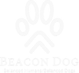 Beacon Dog Behaviorists 