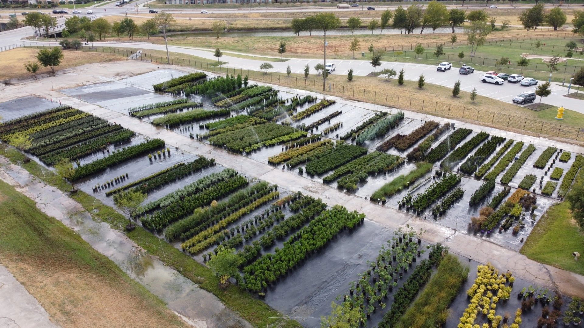 Riverside Nursery cover