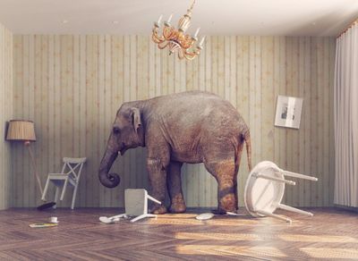 Elephant standing in a messy room filled with overturned furniture.
