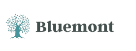 bluemontadhesives