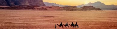 Camel caravan crossing desert at sunset.
