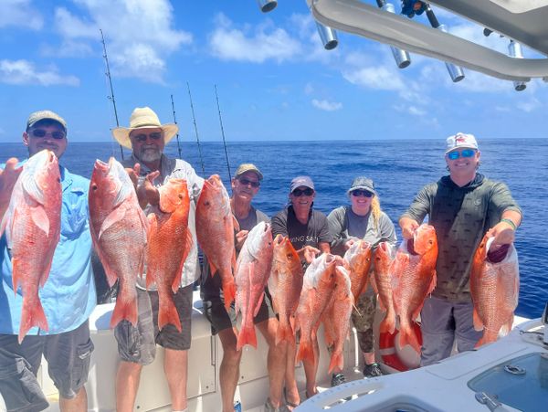 Reel Pursuits Offshore charters