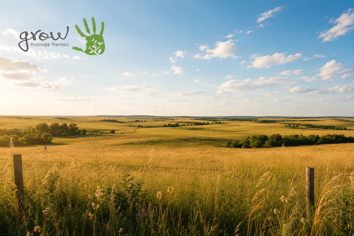 Expansive golden fields under a bright blue sky at sunset.