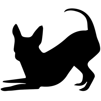Abigail World - Pet Accessories, Pet Toys, Pet Products