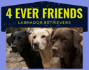 Rondeau's 4 Ever Friends