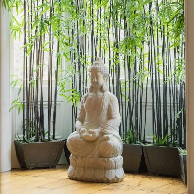 Buddha statue surrounded by bamboo plants indoors.