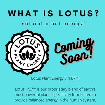 Lotus Energy