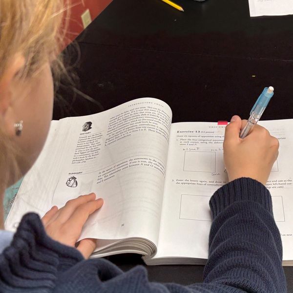 girl completing logic assignment