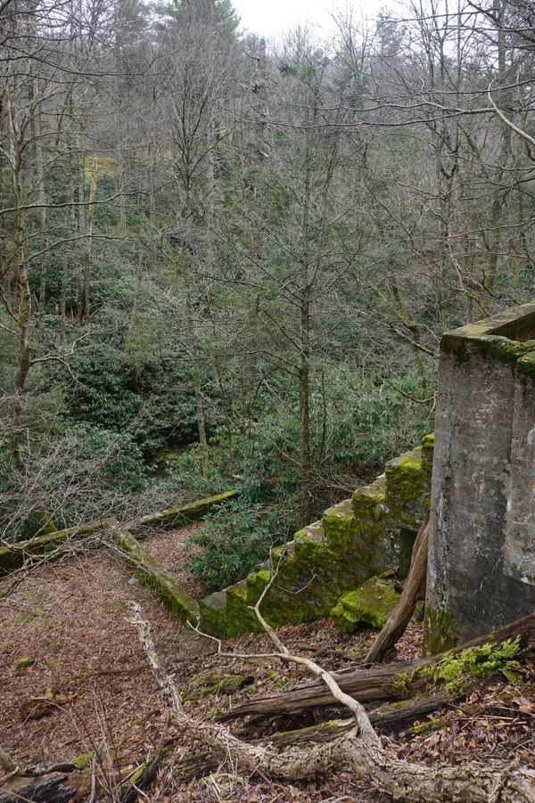 Weathered, moss-covered stairs attached to the ruins of a building, with trees returning to the eart