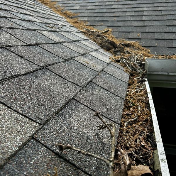 Clogged gutters filled with leaves and debris before gutter cleaning in Springfield MO