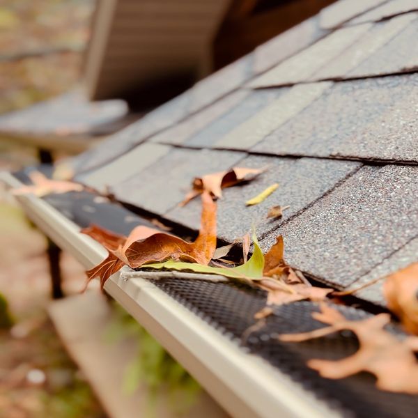 Clogged gutters without gutter guards before installation in Springfield MO