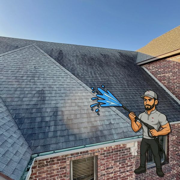 Roof with heavy black algae streaks before soft wash cleaning in Springfield MO