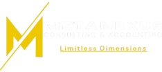 Metanexus Consulting & Accounting