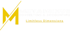 Metanexus Consulting & Accounting