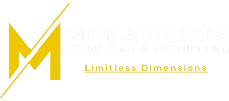 Metanexus Consulting & Accounting