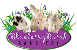 Blueberry Birch Rabbitry