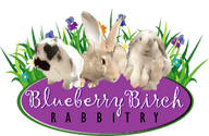 Blueberry Birch Rabbitry