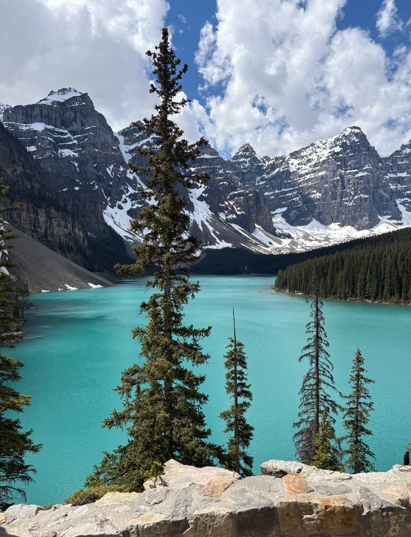 Turquoise lake surrounded by snowy mountains and pine trees.