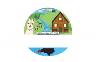  Cobb Creek Cabins