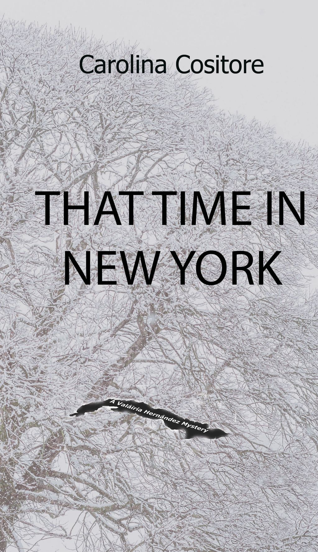 That Time in New York is the second  in the Valáiria Hernández Mystery series. Laira visits New York
