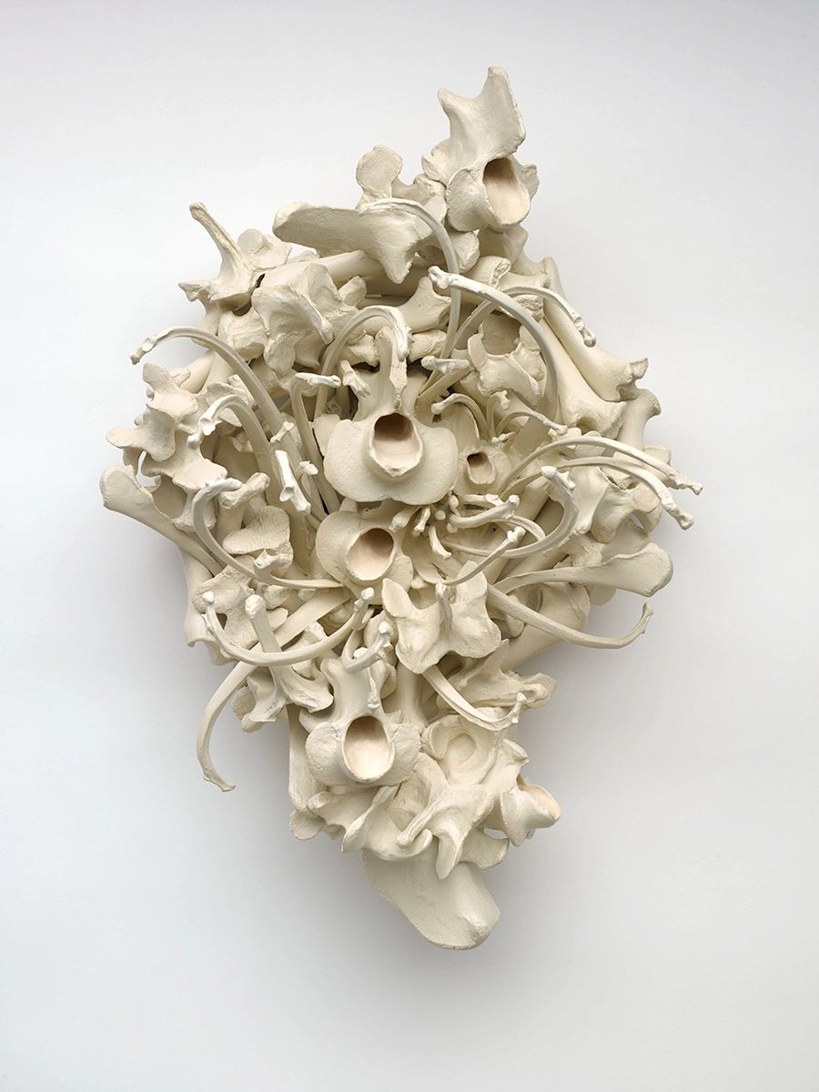 Intricate sculpture made of bone-like structures.